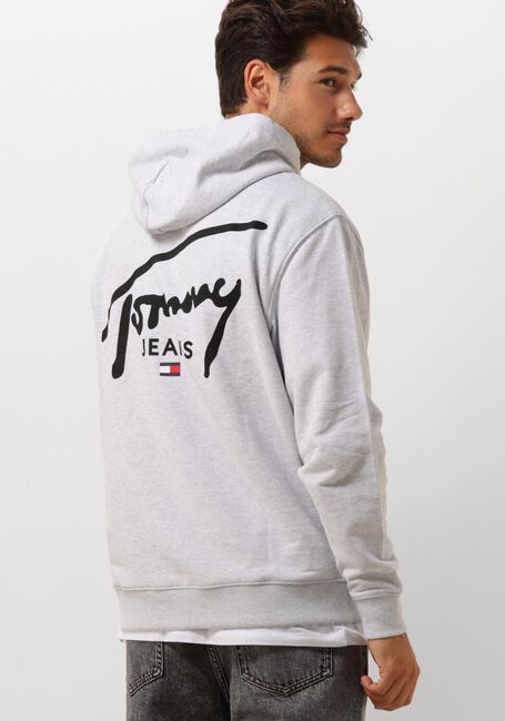 Lichtgrijze TOMMY JEANS Sweater TJM REG ENTRY GRAPHIC HOODIE EXT - large