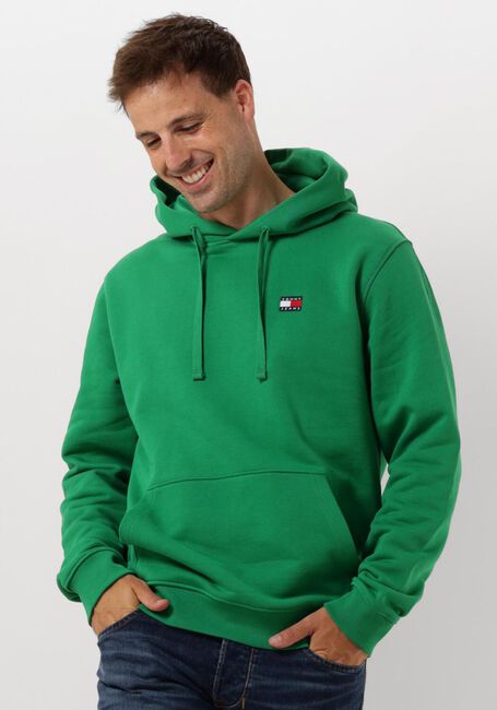 Groene TOMMY JEANS Sweater TJM REG BADGE HOODIE - large