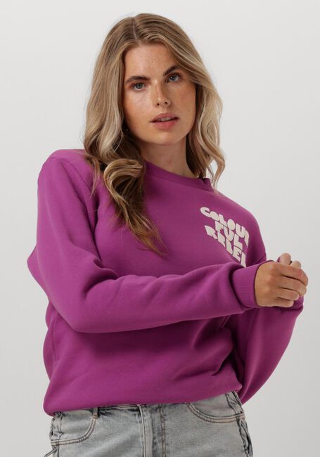 Roze COLOURFUL REBEL Sweater BOLD PUFF LOGO RELAXED SWEAT - large