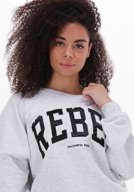 Lichtgrijze COLOURFUL REBEL Sweater REBEL PATCH DROPPED SHOULDER SWEAT - large