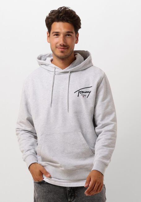 Lichtgrijze TOMMY JEANS Sweater TJM REG ENTRY GRAPHIC HOODIE EXT - large