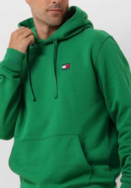 Groene TOMMY JEANS Sweater TJM REG BADGE HOODIE - large