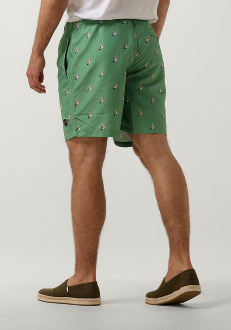 Groene SHIWI Zwembroeken MEN SWIMSHORT PELICAN - large