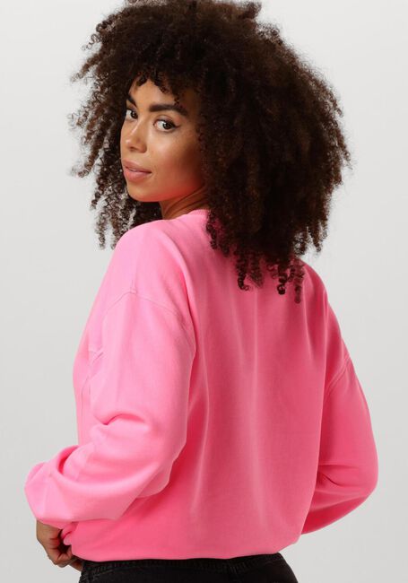 Roze CIRCLE OF TRUST Trui NIKITA SWEAT - large