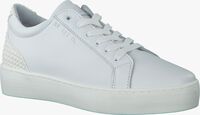 Witte RED-RAG Lage sneakers 74056 - medium