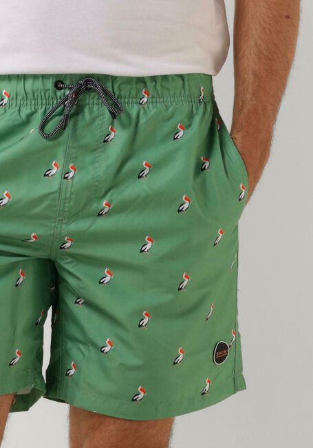 Groene SHIWI Zwembroeken MEN SWIMSHORT PELICAN - large