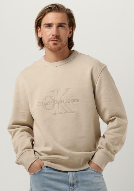 incompleet galblaas wrijving Sweaters CALVIN KLEIN Beige online kopen? | Morgen in huis* | Omoda