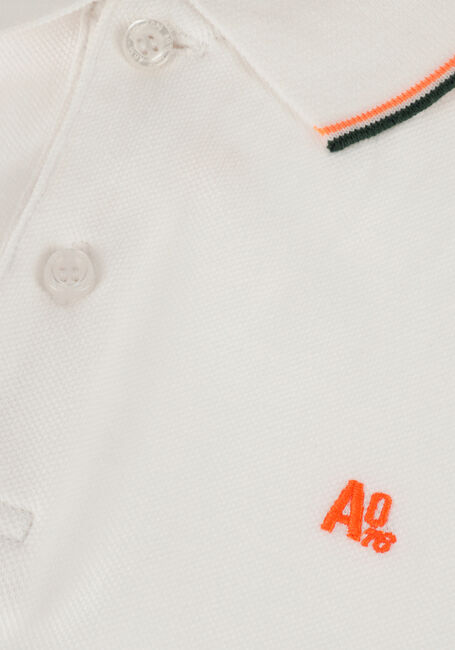 Witte AO76 Polo CARTER POLO - large