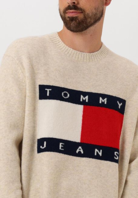 Beige TOMMY JEANS Trui TJM REG MELANGE FLAG SWEATER - large