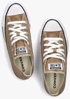 Bruine CONVERSE Lage sneakers CHUCK TAYLOR ALL STAR LOW - medium
