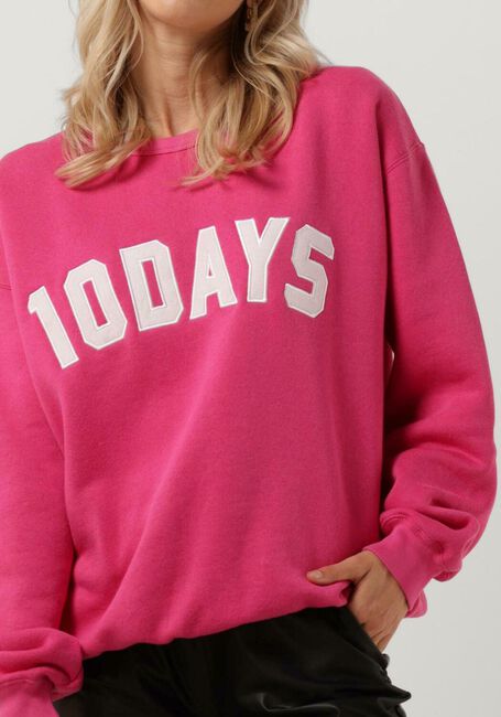 zuiverheid Anesthesie Detecteerbaar Roze 10DAYS Sweater STATEMENT SWEATER | Omoda