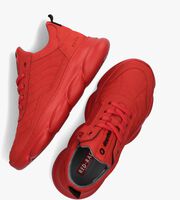 werkelijk Feest oor Sneakers Rood online kopen? | Morgen in huis* | Omoda