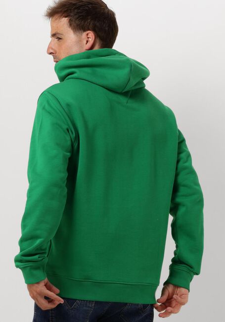 Groene TOMMY JEANS Sweater TJM REG BADGE HOODIE - large