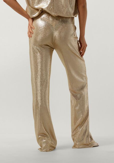 Gouden NUKUS Wijde broek BASILE PANTS - large