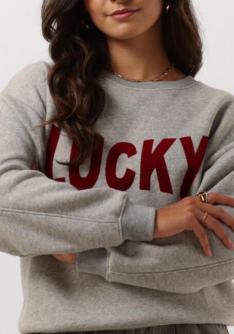 Grijze BY-BAR Trui BAS LUCKY SWEATER - large