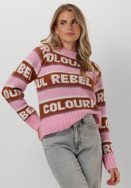 Roze COLOURFUL REBEL Trui XIMENIA CR INTARSIA KNITTED SWEATER - large