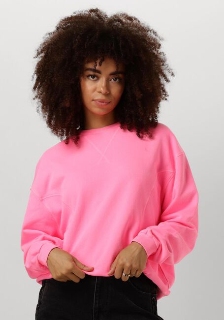 Roze CIRCLE OF TRUST Trui NIKITA SWEAT - large