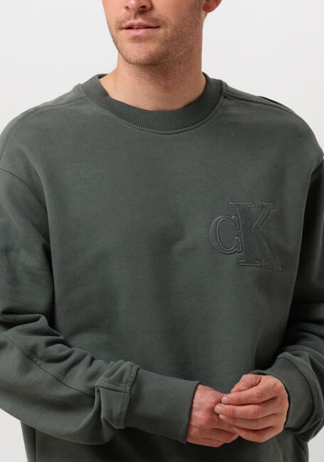 Grijze CALVIN KLEIN Sweater CK APPLIQUE CREW NECK - large