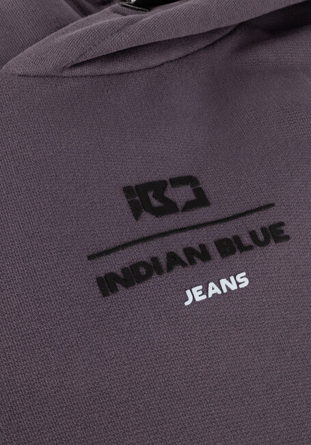 Paarse INDIAN BLUE JEANS Trui HOODIE IBJ HOOD - large